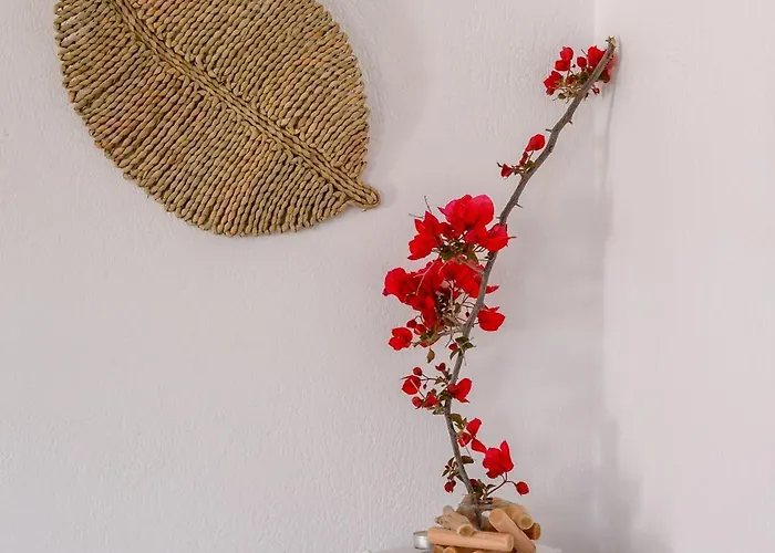 Bonzoe #5 باروس