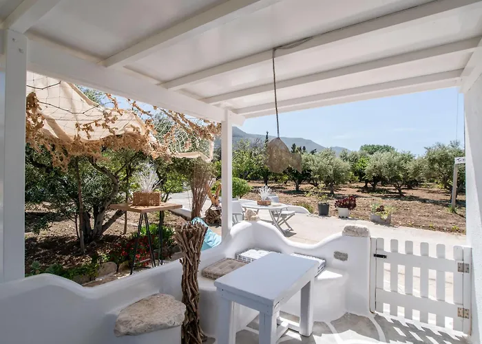 Bonzoe #5 باروس